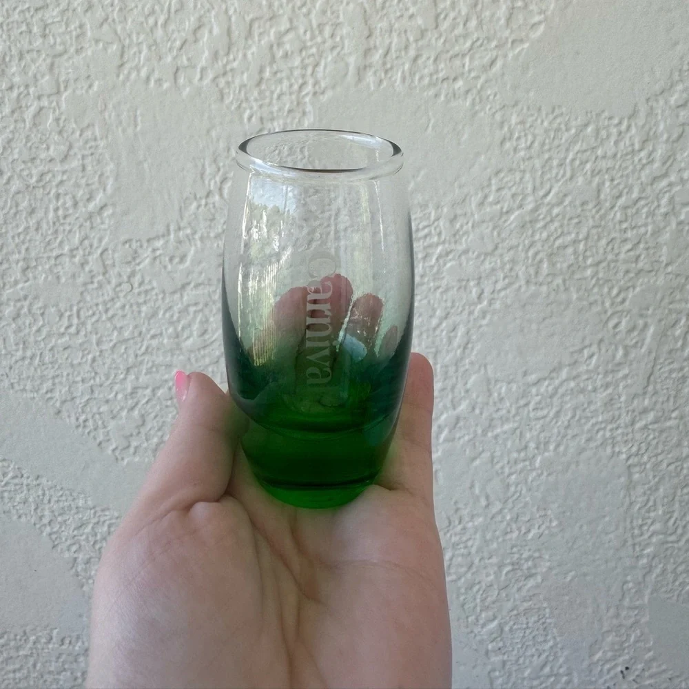 Carnival Cruise Green Ombre 5oz Shot Glass Souvenir Barware OS